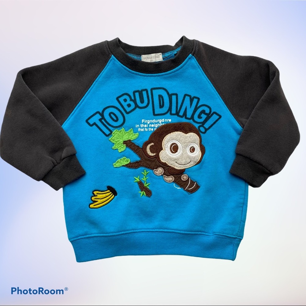 Blue/Grey Animal Embroidered Sweatshirt